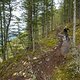BC Squamish - Rigs in Zen