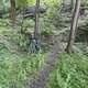 IMG 1460