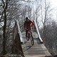 IMG 7145