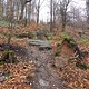 SDC19429 kl