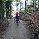 IMG 3341
