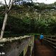 Urig - die Brücke führt in den Regenwald