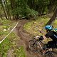 TrailCenter Rabenberg - Berms and Bumps