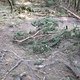 IMG 0970Large 1272301263
