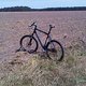 IMG00058-20100807-1330