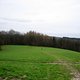 IMG 6337