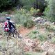 Trail nach Fornalutx 2 / Mallorca