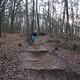 IMG 1525