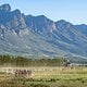 Riders on stage 3 of the 2021 Absa Cape Epic Mountain Bike stage race from Saronsberg to Saronsberg, Tulbagh, South Africa on the 20th October 2021

Photo by Kelvin Trautman/Cape Epic

PLEASE ENSURE THE APPROPRIATE CREDIT IS GIVEN TO THE PHOTOGRAPHER