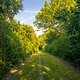 Orbit360 // Gravel Series 2022 // Venus Valley