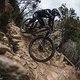 Das Intense Tracer 29 ist im Downhill wesentlich bequemer und nochmals etwas laufruhiger als das Canyon Strive