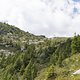 IMG 1824