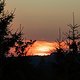 Sunset79 (MTB-News)