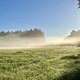 IMG 2430