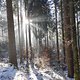 Winterpokal-Aktivität