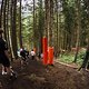 Danach geht es bis zur nächsten Holzbrücke eigentlich nur noch geradeaus
