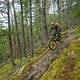 BC Squamish - Philly Cheese Streak