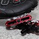 IMG 6499
