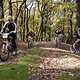 DSC 0025 1287930406