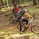 o Harz Runterrauf