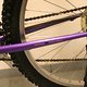 IMG 3755