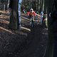 IMG 1859