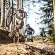 TorstenKumpf BDR Camp Schulenberg 202304044K4A0517