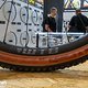Der neue WTB Macro richtet sich an XC-Biker und ist lediglich in 29&quot; und 2,4&quot; erhältlich.