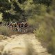 Marco Joubert leads the bunch during Stage 4 of the 2025 Absa Cape Epic Mountain Bike stage race held at Fairview, Paarl, Cape Town, South Africa on the 20th March 2025. Photo by Nick Muzik/Cape Epic
PLEASE ENSURE THE APPROPRIATE CREDIT IS GIVEN TO T