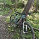 IMG 1694