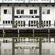 IMG 7490