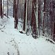 IMG1657