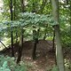 DSC00420