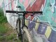 DSCN0976