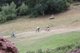 IMG 7458