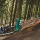 und knallte frontal gegen den Baum - DNF. Hoffentlich ist nichts wildes passiert - gute Besserung an dieser Stelle, Fabian!
