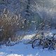 DSC06685-ck