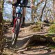 Mit der neuen RockShox Lyrik 2021empfanden wir die Balance im Rad als stimmiger