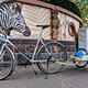 Trek 950 mit Carry Freedom Y-frame