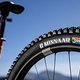 MTBNews