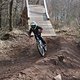 IMG 7247