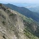 IMG 1452