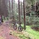 IMG 0391
