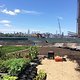 Brooklyn Farms wird hier eigenes Gemüse anpflanzen und die einzigen grüne Fläche in Brooklyn genießen.
