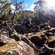 Ines und James auf dem NorthSouth Track. Einem der offiziellen Bike-Highlights von Hobart.