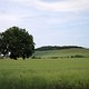 Hutberg