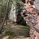 grossetFerkelstein1