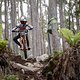 Jackson Goldstone performs during practice at Red Bull Hardline in Maydena Bike Park,  Australia on February 20,  2024 // Graeme Murray / Red Bull Content Pool // SI202402200406 // Usage for editorial use only //