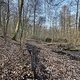 3 Runden Neumühler