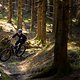 Schwalbe Clik Valve Specialized Stumpjumper 2025 PSturm-24